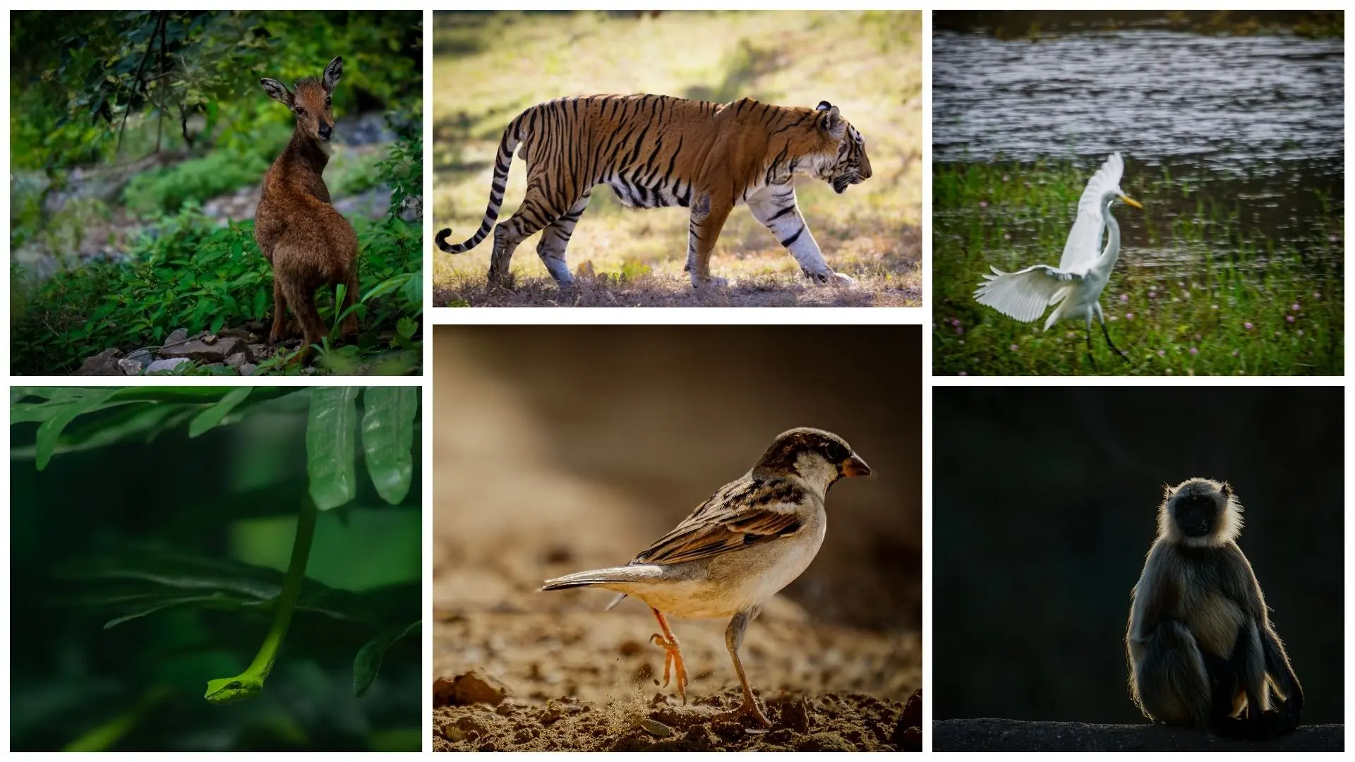 Photography Exhibition